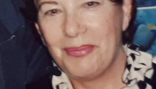 התמיכה של פולה ברמה האנושית והמשפטית הייתה טוטאלית. היא היתה שם בשבילנו יום יום וכל היום - עם העצורים, עם החברים שנותרו בחוץ, עם הילדים והמשפחות. היא נתנה לכולם את הביטחון בצדקת הדרך, ובאפשרות לערער על האמיתות, כביכול, שהציגו שירותי הביטחון. היא הייתה משוכנעת ביכולתה לשכנע את השופטים וגם את דעת הקהל, שמדובר בתנועה פוליטית לגיטימית. ואכן, הפשרה שהובילה פולה בסופו של דבר, סיימה את הפרשה המשפטית בהודאה בעבירות משניות, ועונשי מאסר קצרים יחסית – פשרה שהוגדרה בעיתונות אז "ההר הוליד עכבר".